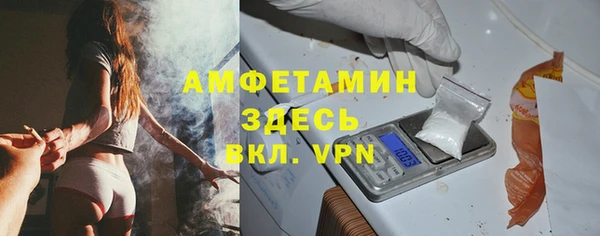 гидра Абаза
