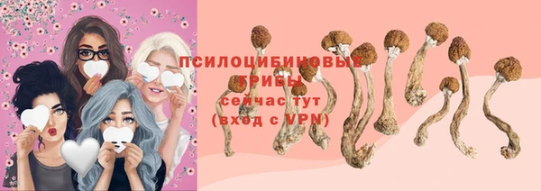дживик Алексин