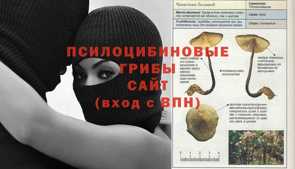 мескалин Абдулино