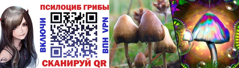 Псилоцибиновые грибы MAGIC MUSHROOMS  Бежецк 
